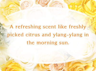 A refreshing scent like freshly picked citrus and ylang-ylang in the morning sun.