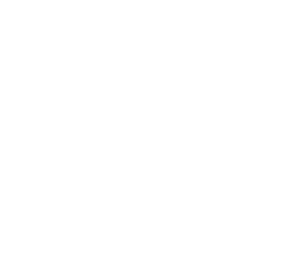 Sofy SPORTS  260 Without Wings 24