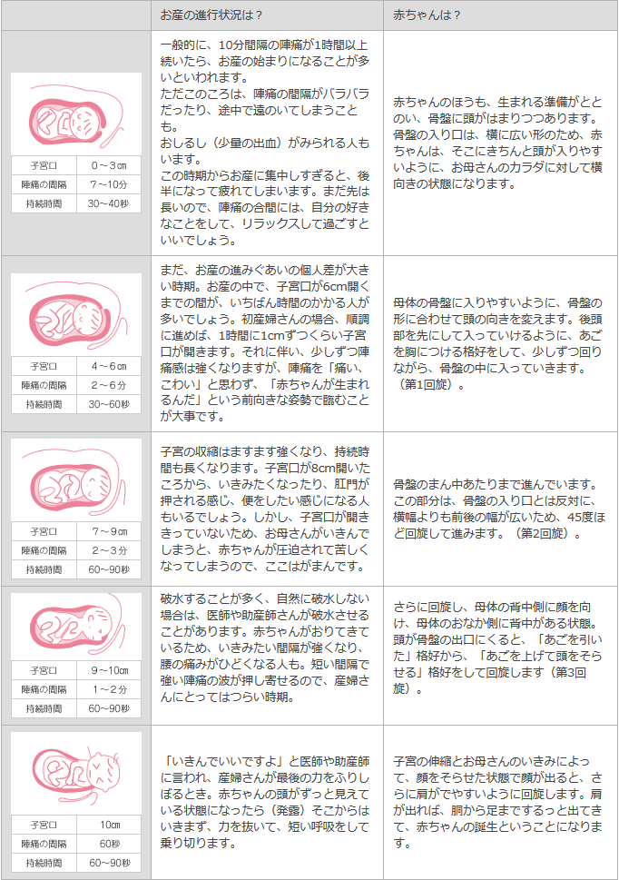 生命の誕生の瞬間、お産のときカラダはどうなっているの？
