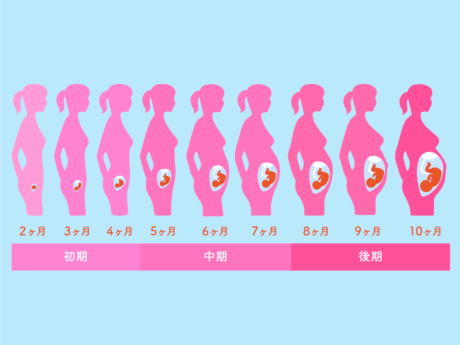 どのような処方避妊法が利用可能ですか?