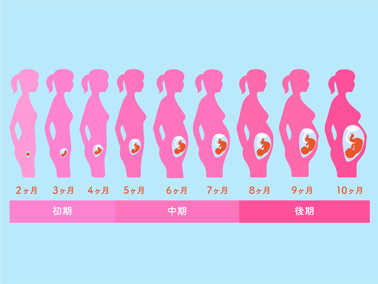 妊娠中の有病率