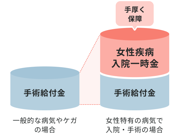 一般的な病気やケガの場合 手術給付金 女性特有の病気で入院・手術の場合 手術給付金 女性疾病入院一時金 手厚く保障