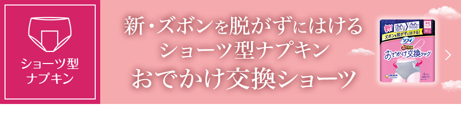 新・ズボンを脱がずに履けるショーツ型ナプキン おでかけ交換ショーツ