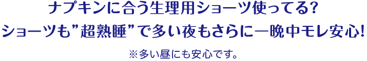 ナプキンに合う生理用ショーツ使ってる？ ショーツも”超熟睡”で多い夜もさらに一晩中モレ安心！ ※多い昼にも安心です。