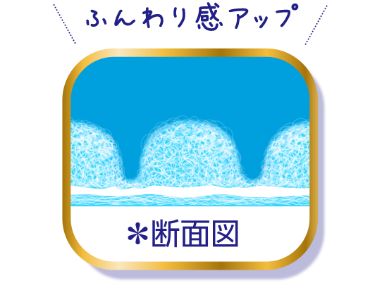 ふんわり感アップ ＊断面図