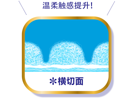 温柔触感提升！ ※横切面