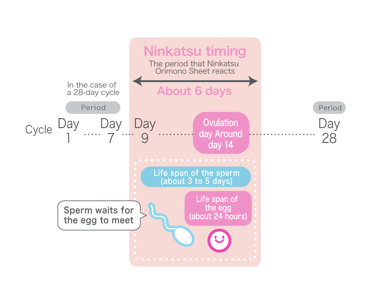 Ninkatsu timing. The period that Ninkatsu Orimono Sheets reacts about 6 days.