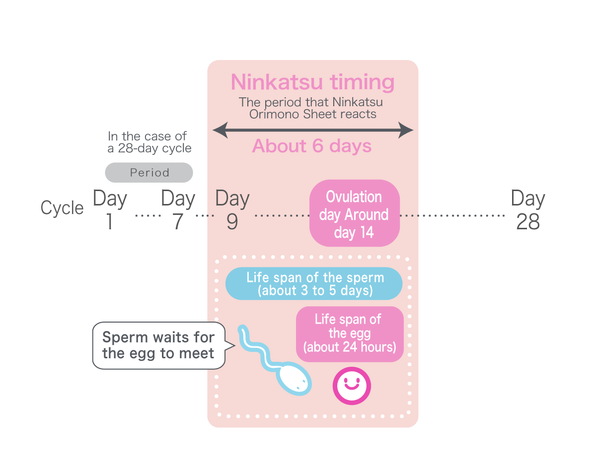 Ninkatsu timing. The period that Ninkatsu Orimono Sheets reacts about 6 days.