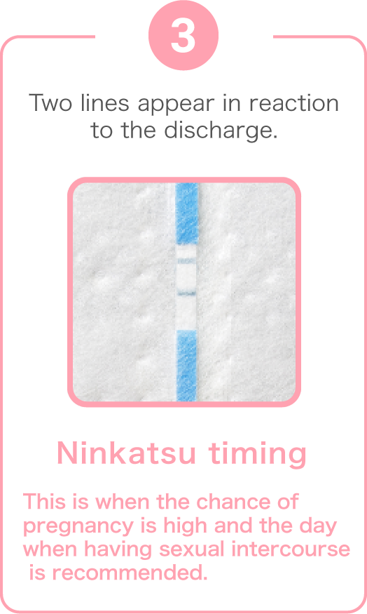 Third, two lines appear in reaction to the discharge.  Ninkatsu timing. This is when the chance of pregnancy is high and the day when having sexual intercourse is recommended.