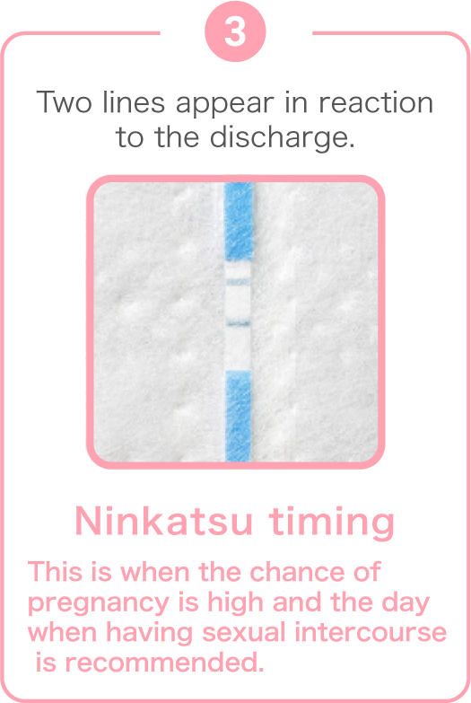 Third, two lines appear in reaction to the discharge.  Ninkatsu timing. This is when the chance of pregnancy is high and the day when having sexual intercourse is recommended.