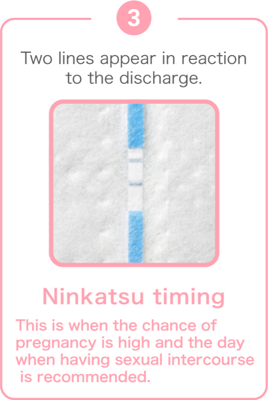Third, two lines appear in reaction to the discharge. Ninkatsu timing. This is when the chance of pregnancy is high and the day when having sexual intercourse is recommended.