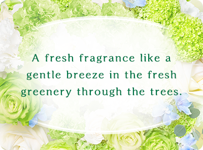 A fresh fragrance like a gentle breeze in the fresh greenery through the trees.