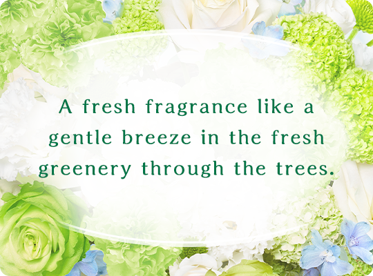 A fresh fragrance like a gentle breeze in the fresh greenery through the trees.