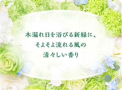 木漏れ日を浴びる新緑に、そよそよ流れる風の清々しい香り