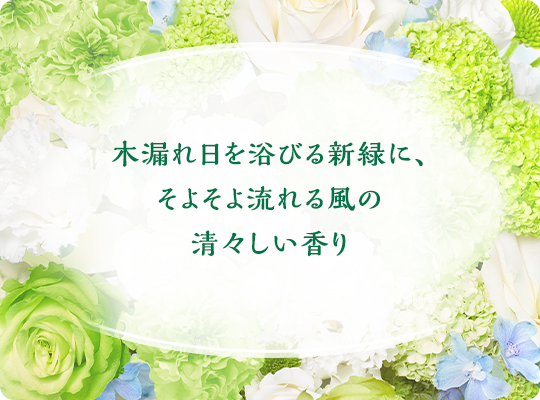 木漏れ日を浴びる新緑に、そよそよ流れる風の清々しい香り
