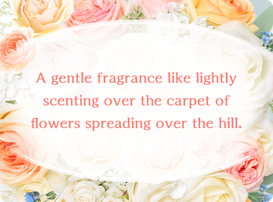 A gentle fragrance like lightly scenting over the carpet of flowers spreading over the hill.