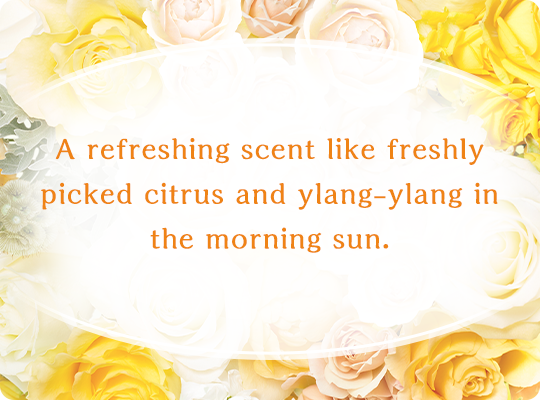 A refreshing scent like freshly picked citrus and ylang-ylang in the morning sun.