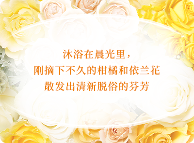 沐浴在晨光里，刚摘下不久的柑橘和依兰花散发出清新脱俗的芬芳