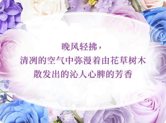 晚风轻拂，清冽的空气中弥漫着由花草树木散发出的沁人心脾的芳香
