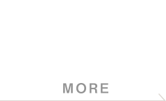 ORGANIC 100%* Organic Cotton Pantyliners