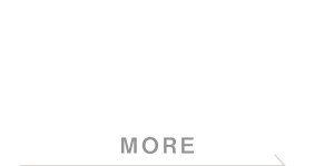 ORGANIC 100%* Organic Cotton Sanitary Underwear