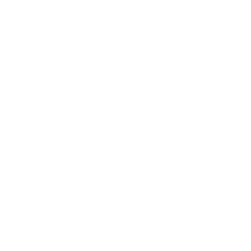 Sofy SPORTS 260 Without Wings 24