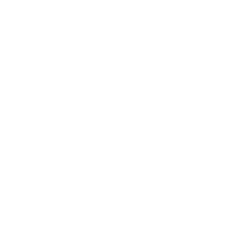 苏菲SPORTS 260 无护翼 24