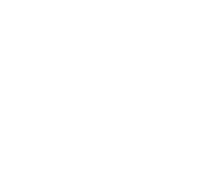 ソフィ SPORTS 260 羽なし 24枚