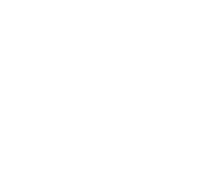 苏菲SPORTS 260 无护翼 24