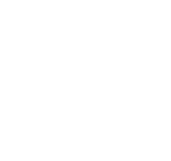 ソフィ SPORTS 260 羽つき 19枚