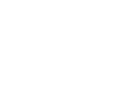 Sofy SPORTS  260 with wings 19