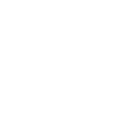 苏菲SPORTS 260 护翼型 19