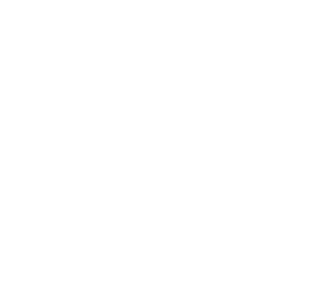 ソフィ SPORTS 260 羽つき 19枚