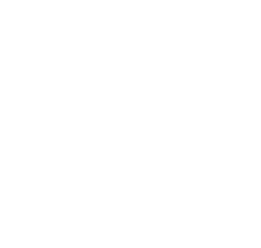 Sofy SPORTS  260 with wings 19
