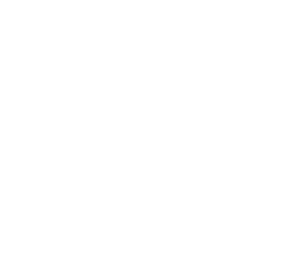 苏菲SPORTS 260 护翼型 19