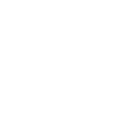 ソフィ SPORTS 300 羽つき 17枚