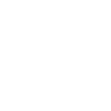 Sofy SPORTS  300 with wings 17
