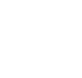 ソフィ SPORTS 300 羽つき 17枚