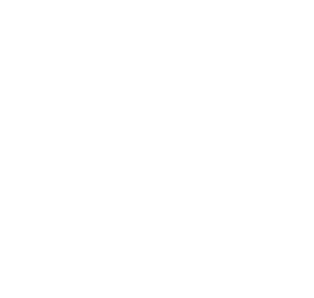 Sofy SPORTS  300 with wings 17