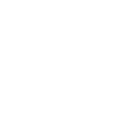 苏菲SPORTS 300 护翼型 17