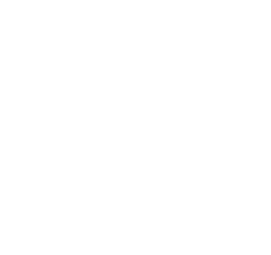 Sofy SPORTS Dynamic Shorts