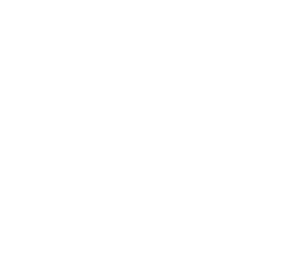 Sofy SPORTS Dynamic Shorts